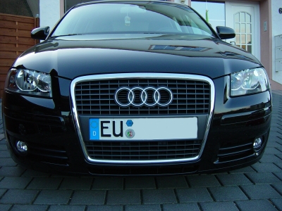 Single Frame Grill des A3 Sportback. 