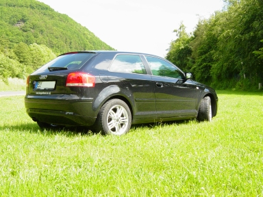 Der A3 mit etwa acht Monaten, keine Mängel. Der A3 mit etwa acht Monaten, keine Mängel.