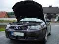 Seltenes Bild: offene Motorhaube des A3 2.0 TDI. 