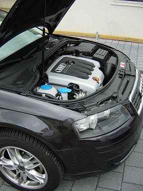 Motorraum des A3 2.0 TDI von Karsten Krause. Motorraum des A3 2.0 TDI von Karsten Krause.