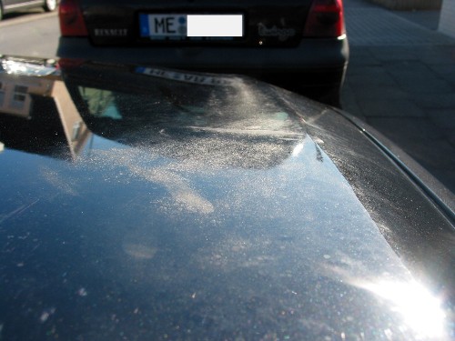 Im Sonnenlicht erkennt man den Bereich hartnäckiger Verunreinigungen auf der Motorhaube des BMW. Im Sonnenlicht erkennt man den Bereich hartnäckiger Verunreinigungen auf der Motorhaube des BMW.