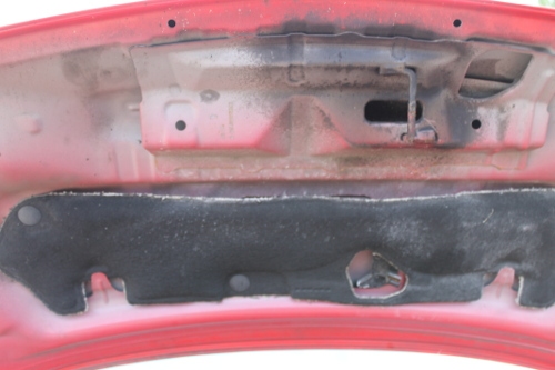 Die Auswirkungen von Winter und Streusalz. Die geöffnete Motorhaube.