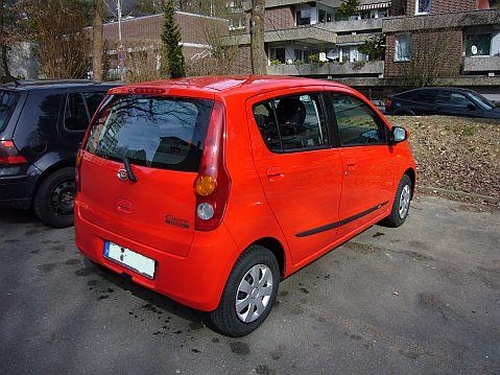 Bei einem frischgewaschenen Cuore kann auch einer schöner Rücken entzücken. Cuore von schräg hinten.