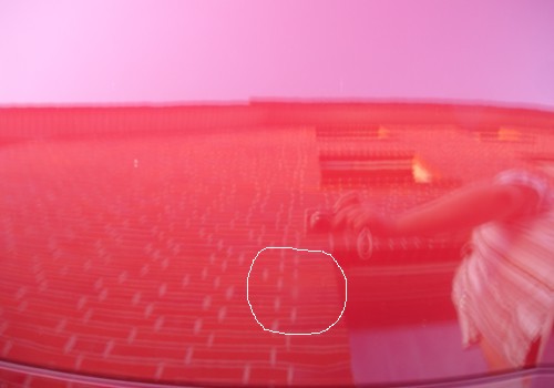 Matter Klarlack auf der Motorhaube. Kaum sichtbar, aber vorhanden. Eine matte Stelle im Klarlack.