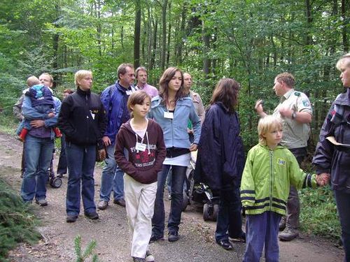 Waldspaziergang. 