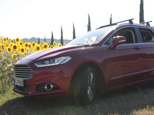 Der Ford Mondeo vor einem Sonnenblumenfeld. 