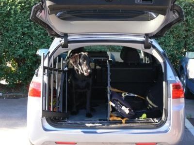 Unsere Hündin in der geöffneten Hundebox. Unsere Hündin in der geöffneten Hundebox.