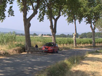 Der Mazda im Schatten von Platanen. 