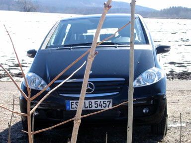 Auto hinter Ästen. Auto hinter Ästen.