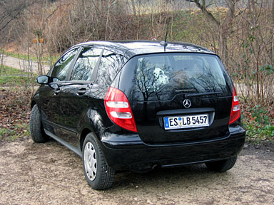 Auto mit Hunden im Kofferraum. 