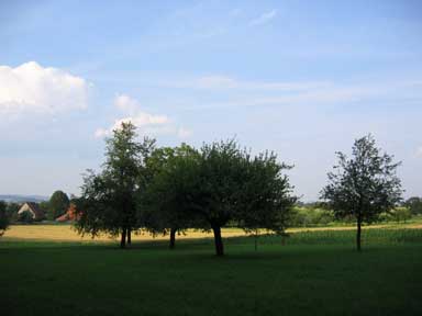 Landschaftsaufnahme. 