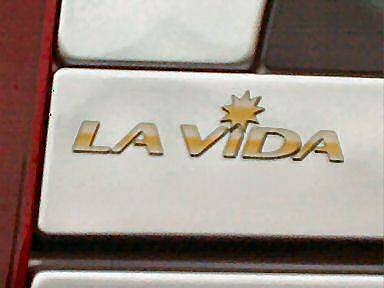 Schriftzug La Vida. Schriftzug La Vida.