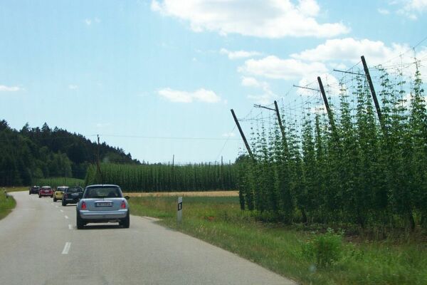 Weiterfahrt zum Treffpunkt in Wolnzach. 