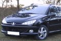 Seitenansicht meines Peugeot 206 SW. 