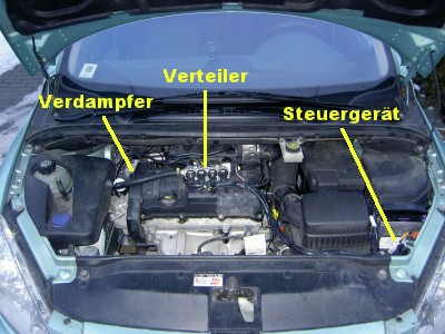 Einbauorte der Autogas-Komponenten im Motorraum. Übersichtsfoto Motorraum.