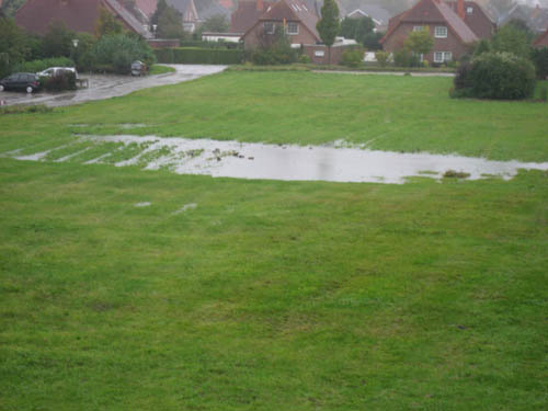 Es hatte sehr viel geregnet in und um Hooksiel herum vor unserem Urlaub. Wiese mit See und Enten.