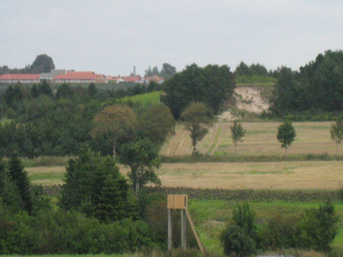 Wiesen, Felder und Bäume in Dänemark. 