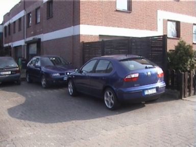 Löwenbesuch. Löwenbesuch.