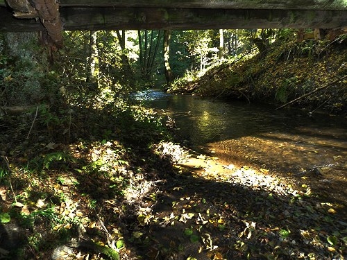 Licht und Schatten im Tal. 