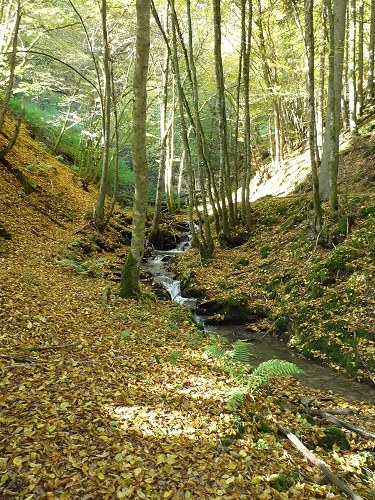 Enderttal im Herbst. Enderttal im Herbst.