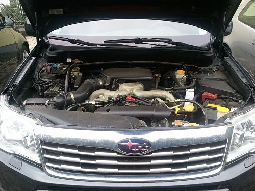 Motorraum Forester. Motorraum Forester.
