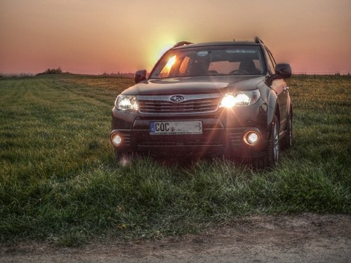 Forester im Sonnenuntergang (HDR-Foto). 