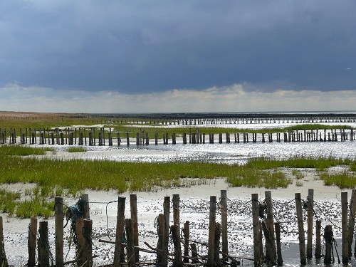 Wattenmeer auf der Insel Mandø. 