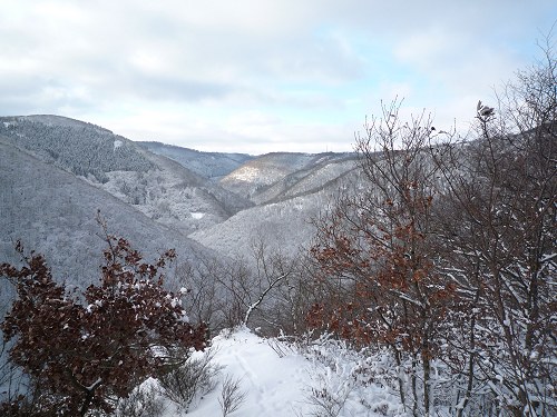 Winterlandschaft Ellerbachtal. 