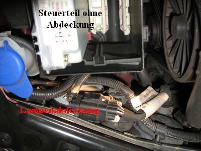 Bereits entfernte Abdeckung des Steuerteilbehälters. 