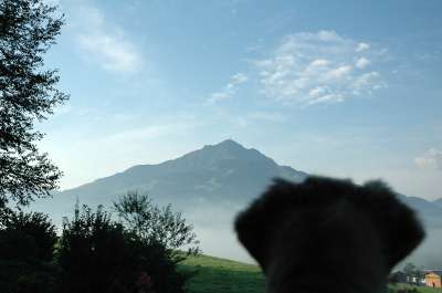 Auch Lotte genießt den Ausblick. 