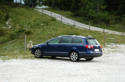 Der Passat auf der Steinplatte. 