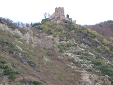 Burgruine Liebenstein. 