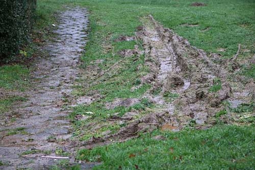Aufgewühlte Wiese. Aufgewühlte Wiese.