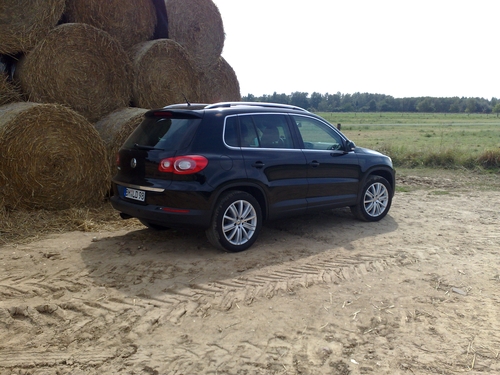 Der Tiguan im Gelände. 