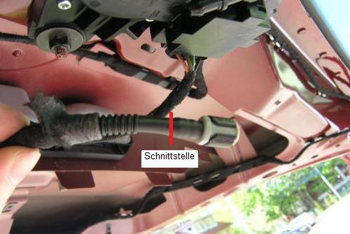 Durchschnittstelle des Schlauches. Durchschnittstelle des Schlauches.