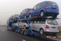 Ein ganzer Transporter mit VW Tourans. 