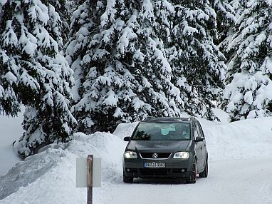 Macht sich gut im Schnee … 